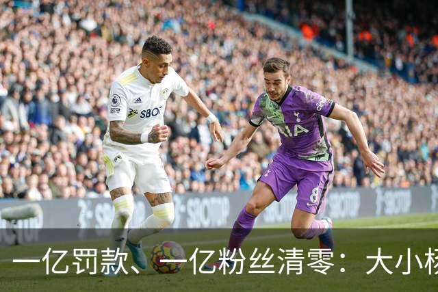 一亿罚款、一亿粉丝清零：大小杨哥回来，但直播间早就不等他们了