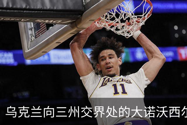 乌克兰向三州交界处的大诺沃西尔卡推进！夺取小迪布罗瓦