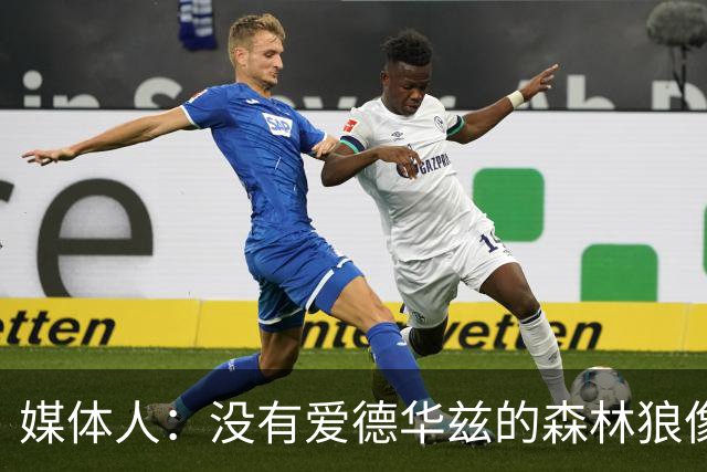 媒体人：没有爱德华兹的森林狼像一盘散沙，球员迷茫不适应