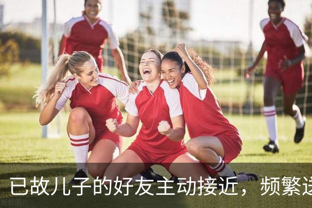 已故儿子的好友主动接近，频繁送上小恩小惠，赢得了女子信任，有一天家人发现其微信和支付宝资金有异常……儿子好友被判刑