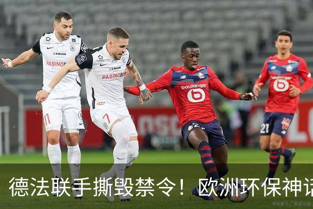 德法联手撕毁禁令！欧洲环保神话塌房