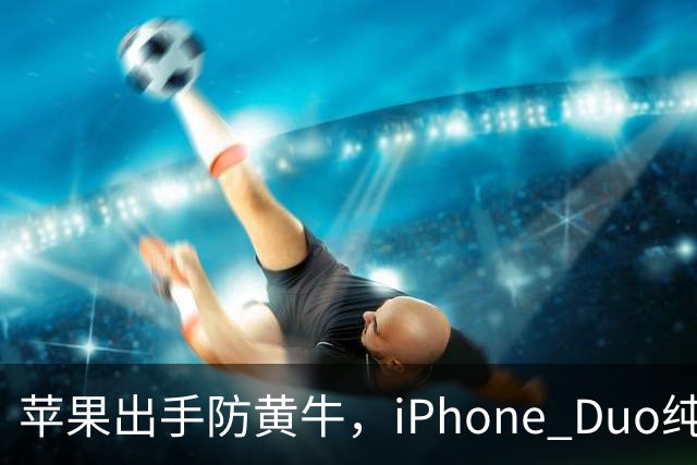 苹果出手防黄牛，iPhone Duo纯eSIM 劝退主力机用户