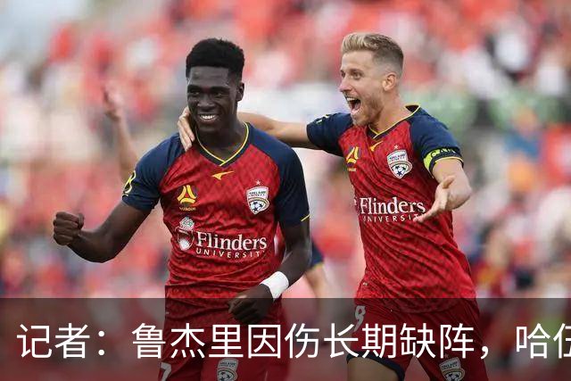 记者：鲁杰里因伤长期缺阵，哈伍德-贝利斯入选维拉欧冠名单