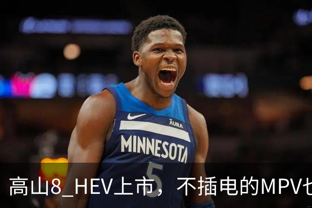高山8 HEV上市，不插电的MPV也配激光雷达